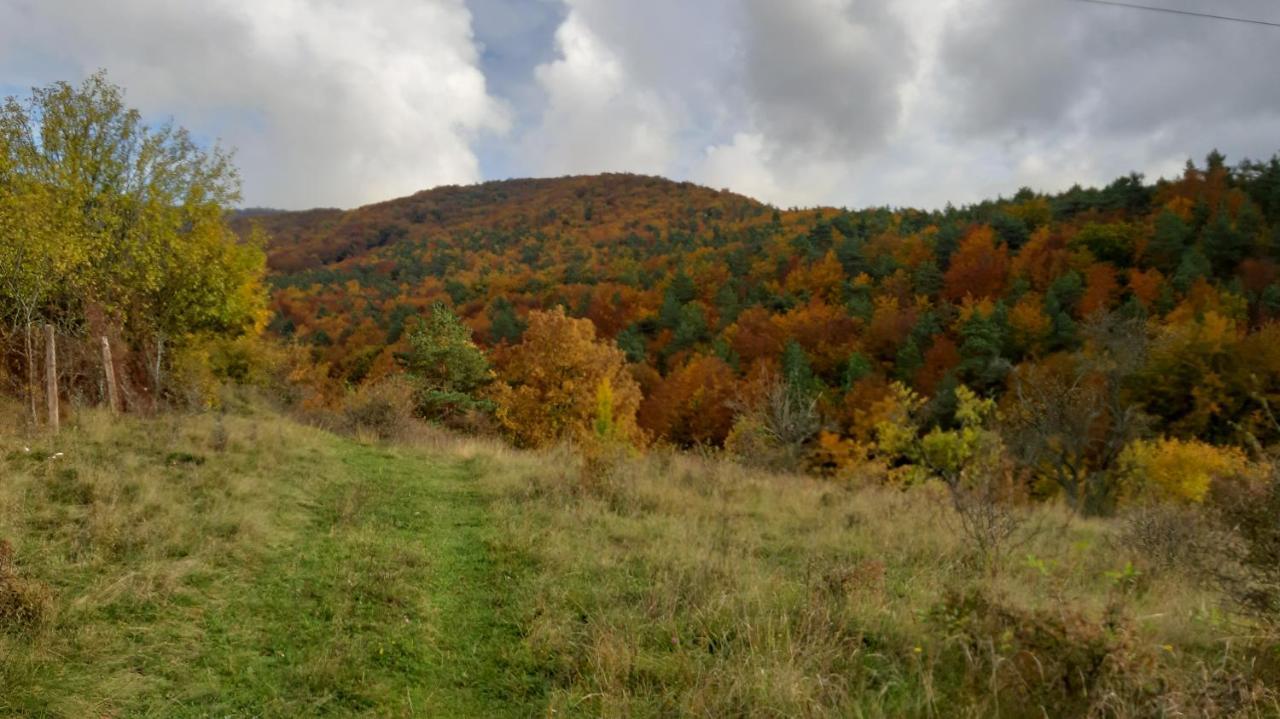 Penzion Pri Studnicke Omastina Buitenkant foto
