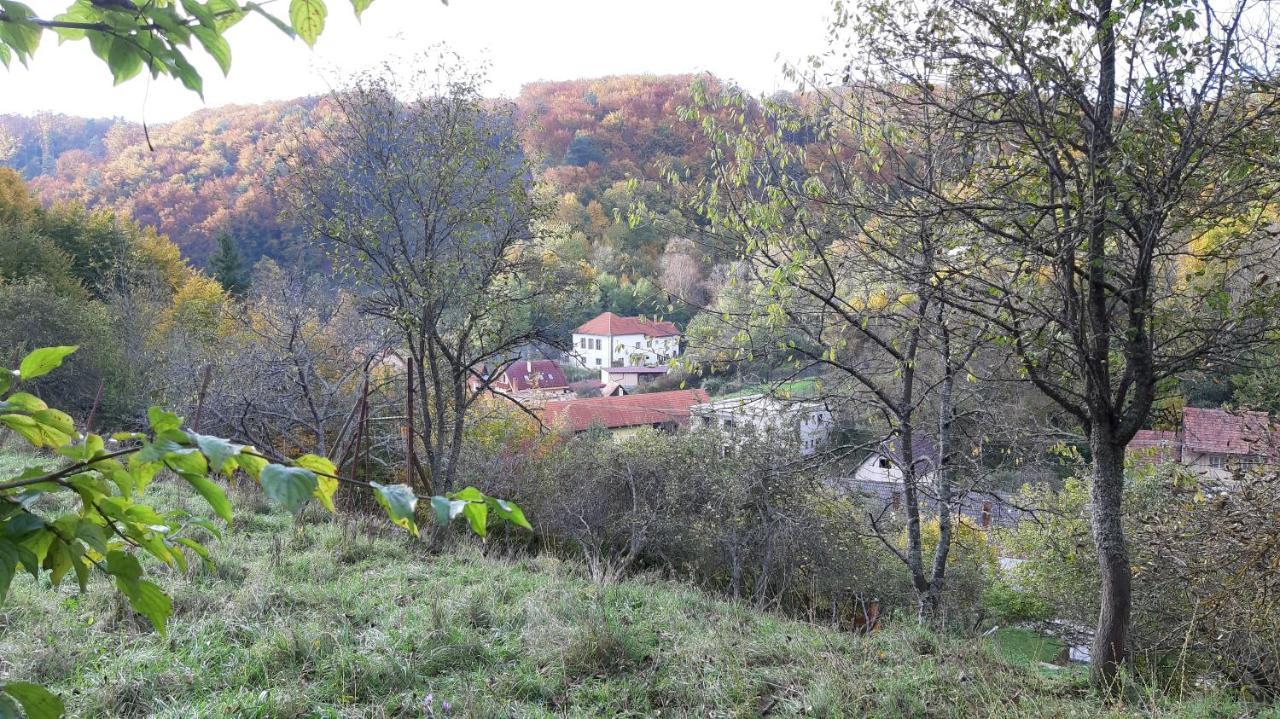 Penzion Pri Studnicke Omastina Buitenkant foto