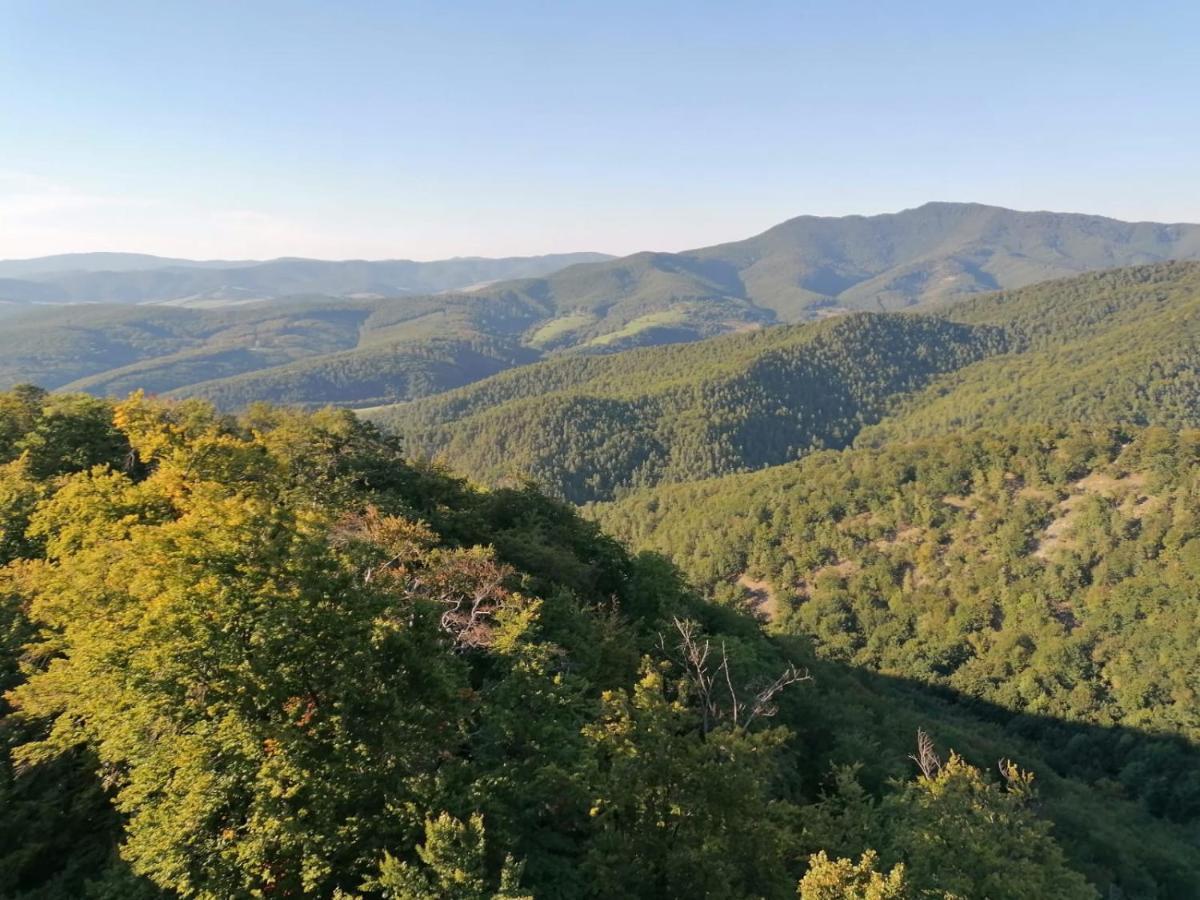 Penzion Pri Studnicke Omastina Buitenkant foto