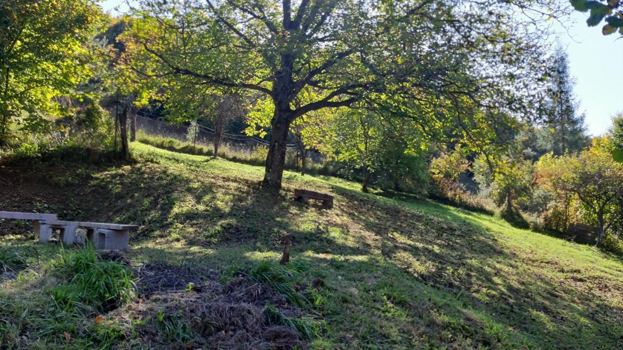 Penzion Pri Studnicke Omastina Buitenkant foto
